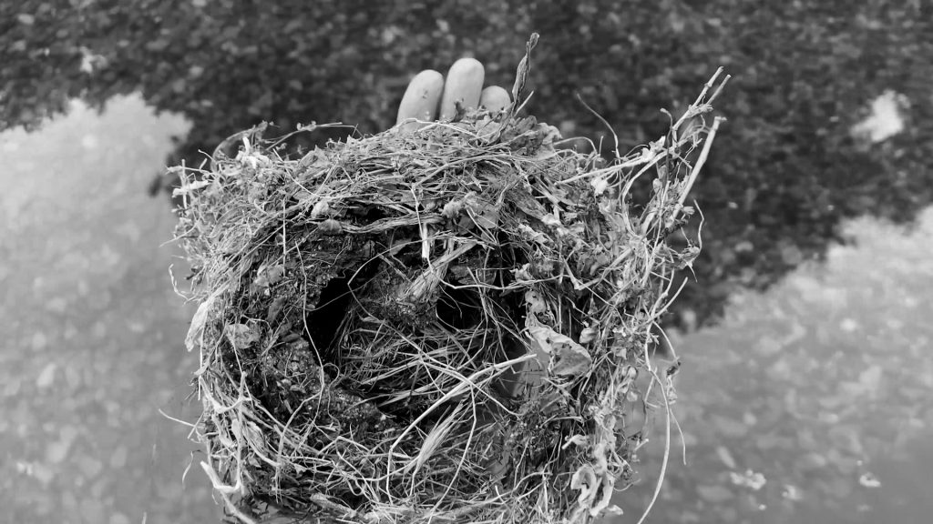 ElogioDeLaPalabra_LisiPrada-JCMestre_2024_still_06